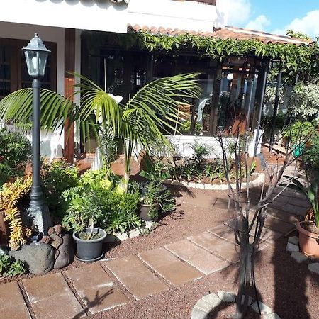 Apartamento Tranquilo En Una Casa Con Jardin لا لاغونا المظهر الخارجي الصورة