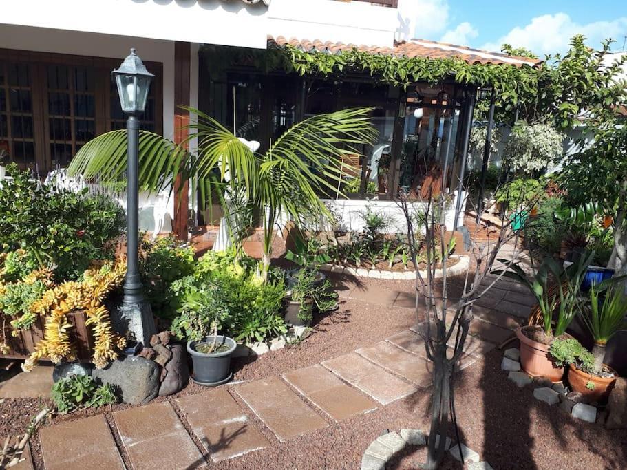 Apartamento Tranquilo En Una Casa Con Jardin لا لاغونا المظهر الخارجي الصورة